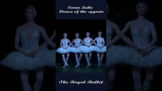 shorts The Royal Ballet  Swan Lake Dance of the cygnets balletdance balletclass tchaikovsky [upl. by Akeim]