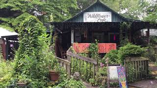 Wildflower Cafe Mentone Alabama [upl. by Nomihs]