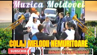 ▶️ COLAJ MELODII NEMURITOARE  MUZICĂ MOLDOVENEASCĂ LA TROMPETĂ 👑 MUZICĂ DE PE TIMPURI STRĂVECHI [upl. by Ylrebme474]