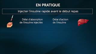 L’insuline endogène et l’insuline exogène [upl. by Otha]