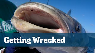 Wreck Fishing Snapper Grouper  Florida Sport Fishing TV  Best Bait tackle Rigs Location [upl. by Ardussi]