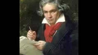 Beethoven Symphony No 7 in A Major Op 92 Allegretto [upl. by Yssac]