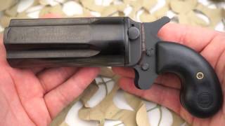 Leinad Cobray Pepperbox 5 Shot Derringer 410 45LC Overview  Texas Gun Blog [upl. by Gilba678]