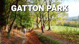 GATTON PARK AND NORTH DOWNS WAY  DAY HIKE SATURDAY  🇬🇧 Hiking UK  England [upl. by Amhser]