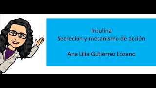 Insulina secreción y mecanismo de acción [upl. by Inoliel408]