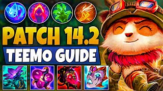 Patch 142 UPDATE GUIDE  Teemo is still a S champion [upl. by Ree]