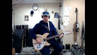 Rickenbacker 330 • Wildwood Guitars [upl. by Enom265]