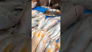 আজকে সমুদ্রিক কাকলে মাছ নিলাম 200 টাকা কেজি yutubeshorts fishmarket fish ফিশ myblog [upl. by Sileas]