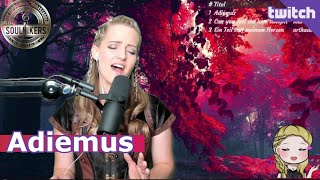 Adiemus  Karl Jenkins  SoulHikers Cover Live [upl. by Ahsiym]