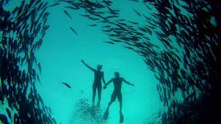 Conferência dos Oceanos das Nações Unidas 2022  teaser [upl. by Halilad]