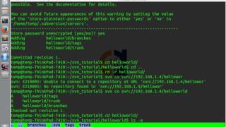 SVN Command Line Tutorial 2 [upl. by Caiaphas]