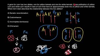 Chimerism  Incomplete dominance  Codominance  Recombination [upl. by Setiram]