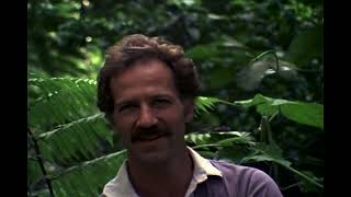 Overwhelming and Collective Murder Werner Herzog [upl. by Philana]