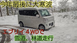 【DA17Wエブリイ4WD】今年最後の大寒波、エブリイ4WDで雪道、林道走行する [upl. by Avuha739]