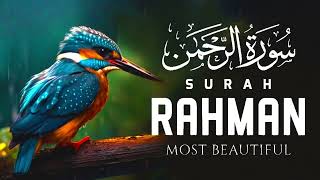 Surah ArRahman سورة الرحمن  Relaxing Soft Voice Marvelous Quran  quran [upl. by Weisler]