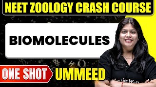 BIOMOLECULES in 1 Shot All Concepts Tricks amp PYQs  NEET Crash Course  Ummeed [upl. by Kay]