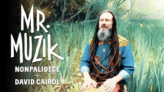 Mr Muzik  Nonpalidece  David Cairol videoclip oficial [upl. by Atinehs]