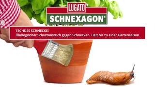 Das ökologische Mittel gegen Schnecken im Garten I LUGATO I Schnexagon [upl. by Ellatsyrc]