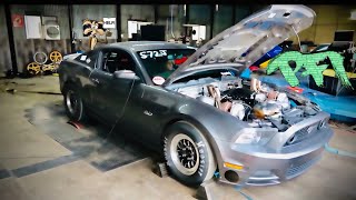 8500 RPM and 1500hp Coyote Dyno Rips Let get Wile E [upl. by Dorcea924]