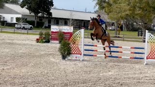 Lil Richard  10m Jumpers  HITS Ocala  021424 [upl. by Arthur]