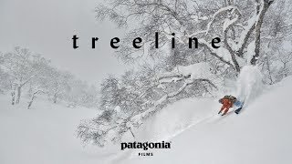 Treeline  The Secret Life of Trees  Patagonia Films [upl. by Bob]