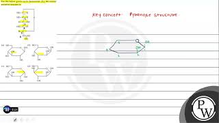 For the below given cyclic hemiacetal X the correct pyranose structure is X a c d [upl. by Ynar]