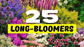 😱 Top 25 Best LONGEST Blooming Perennial Flowers 🌼 BLOOMS THAT NEVER QUIT 💐✨ [upl. by Ecnaled]