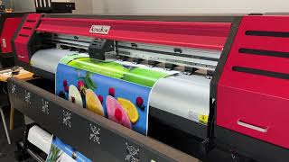 i3200 Eco Solvent Printer with Single  Double Head Options [upl. by Bowes]