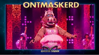 Hippo masked singer ontmaskerd [upl. by Honna]