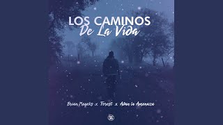 Los Caminos de la Vida [upl. by Hovey]