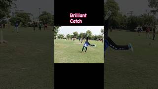 Best wicket keeping ✨shortsfeed youtubeshorts keepingvideo wicketkeeping wicketkeepingdrills [upl. by Chicky]