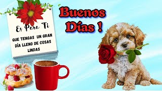 Bonitos mensajes de Buenos Días 🌷Te deseo un gran día lleno de cosas lindas [upl. by Larual]