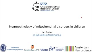 Neuropathology of Mitochondrial Disorders in Children  by Prof Marianna Bugiani  Amsterdam UMC [upl. by Reginauld]