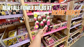 NEW 2024 Fall Flower BULB Inventory At HOME DEPOT🌷🪻 [upl. by Atterehs]