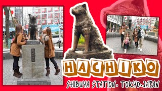 HACHIKO Statue Shibuya City Tokyo Japan [upl. by Mosa830]