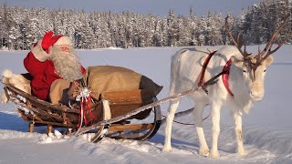 Weihnachtsmann Video für Familien 🦌🎅 Aufbruch des Weihnachtsmanns Lappland Santa Claus reindeer ride [upl. by Leunamesoj121]