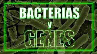 Hablemos sobre BACTERIAS y GENES [upl. by Yor]