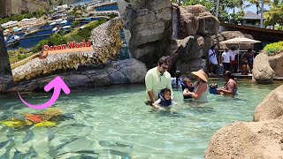 quotToda la Diversión de Ocean World 🌊🐬  Un Día Inolvidable en Familiaquot 4K [upl. by Marzi]