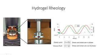 Hydrogel Characterization Lecture [upl. by Avla620]