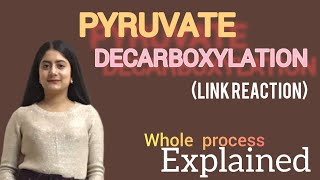 Pyruvate decarboxylation Link reaction mechanism [upl. by Sair]