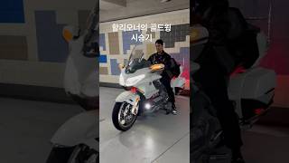 Honda goldwing dct 미친바이크네요 고민하지 말고 사세요 최첨단 바이크 쇼바가 넘 편해요 [upl. by Nadnerb]