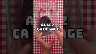 Logique foryou recette recettefacile food cuisine funnyvideo recipe cuisinefacile [upl. by Spragens]