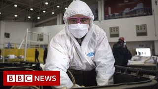 Coronavirus disease named Covid19  BBC News [upl. by Safko]