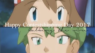 Shuu amp Haruka「Walking The Wire」Contestshipping Day 2017【AMV】 [upl. by Crescen]