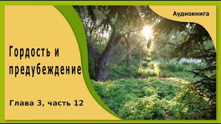 Гордость и предубеждение  аудиокнига глава 3 часть 12 [upl. by Ferwerda]