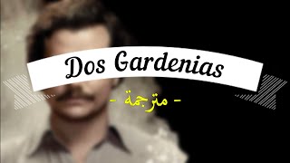 Dos Gardenias مترجمة [upl. by Aropizt]