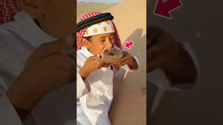 Orang Arab ini Makan Apa Ya 🤣 [upl. by Renner796]