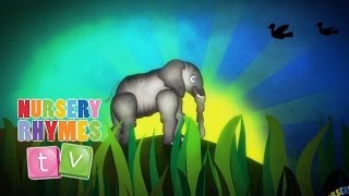 ELEPHANTS HAVE WRINKLES  New Nursery Rhymes  English Songs For Kids  Nursery Rhymes TV [upl. by Ayikat]