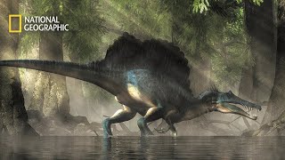 EL NUEVO SPINOSAURUS  Documental National Geographic [upl. by Lissy]