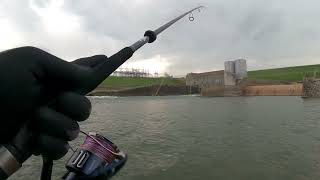 Striper Bass Fishing At Denison Dam Fishing Texoma Texas Ep 2 [upl. by Hartwell334]